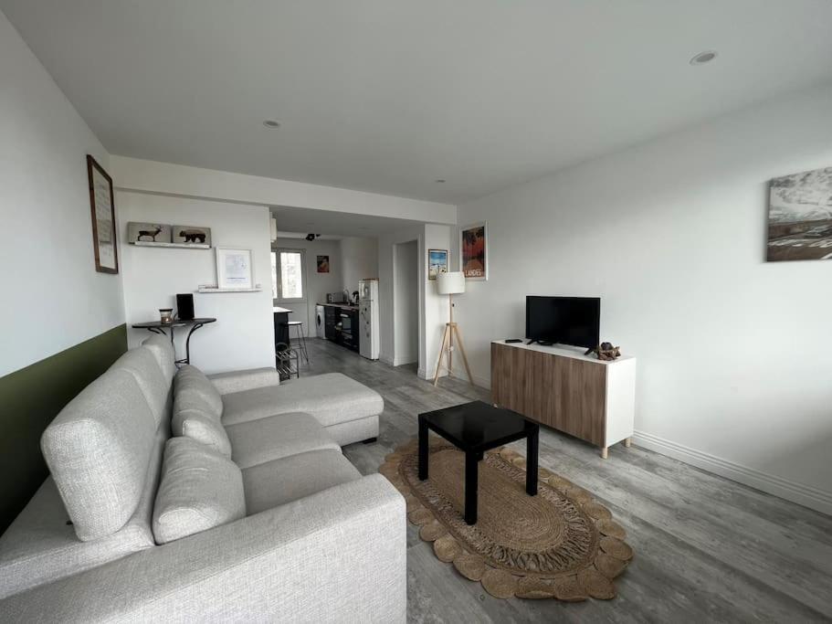 T3 90avrepublique Cosy Avec Balcon Appartement